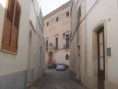 /album/foto-di-sternatia/a101-6391-jpg/